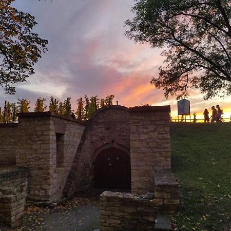 Stela'S Apartments - Vysehrad Прага Екстериор снимка